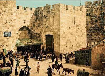 Sultan II. Abdülhamid Dönemi Filistin (İngilizce-Arapça Basım) (Prestij Boy) - 6