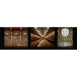 TEMPLES OF KNOWLEDGE:HİSTORİCAL LİBRARİES OF THE WESTERN WORLD - 2