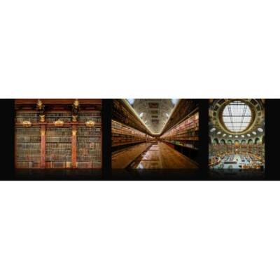 TEMPLES OF KNOWLEDGE:HİSTORİCAL LİBRARİES OF THE WESTERN WORLD - 2