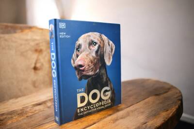 The Dog - 4